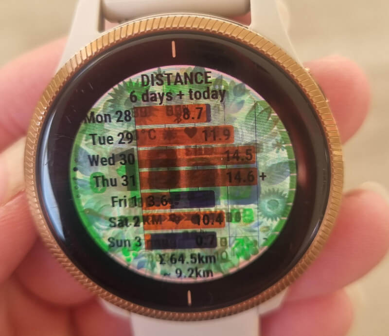 garmin_burnin_02 Burn-in des écrans AMOLED Garmin: mythes et réalités